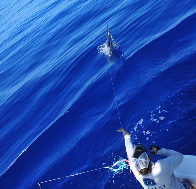 ANGLER: charter client SPECIES: Blue Marlin WEIGHT: Est 200lb LURE: JB Lures XL Dingo.
